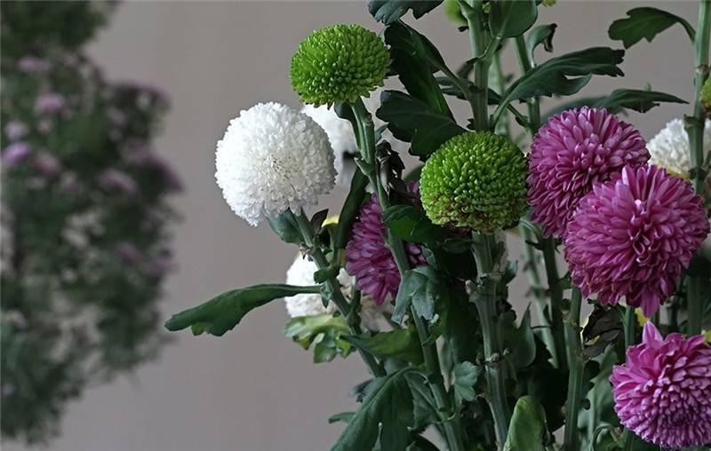 最新娛樂頭條，躍上成功舞臺(tái)的魔力之旅，自信與成就感的碰撞