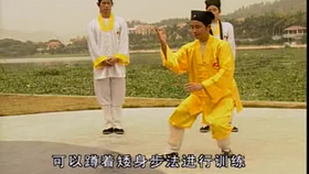 太極最新音樂，傳統(tǒng)與現(xiàn)代的完美融合藝術(shù)展現(xiàn)