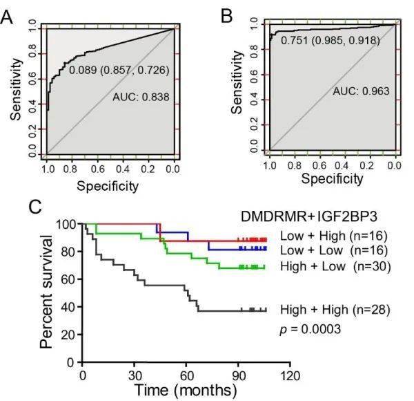 DMD(肌營養(yǎng)不良癥)最新醫(yī)學(xué)進(jìn)展概述