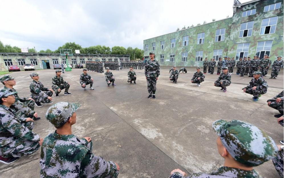 遼寧人才網(wǎng)最新招聘，時(shí)代脈搏與人才匯聚的交匯點(diǎn)
