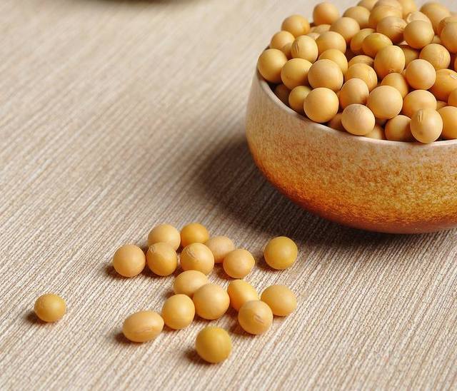 國產(chǎn)大豆最新價格，時代的變遷與影響