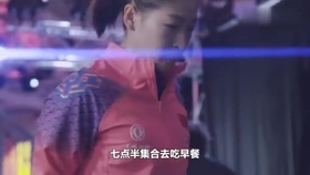 笑斯人最新視頻，日常趣事與友情的紐帶展現(xiàn)！