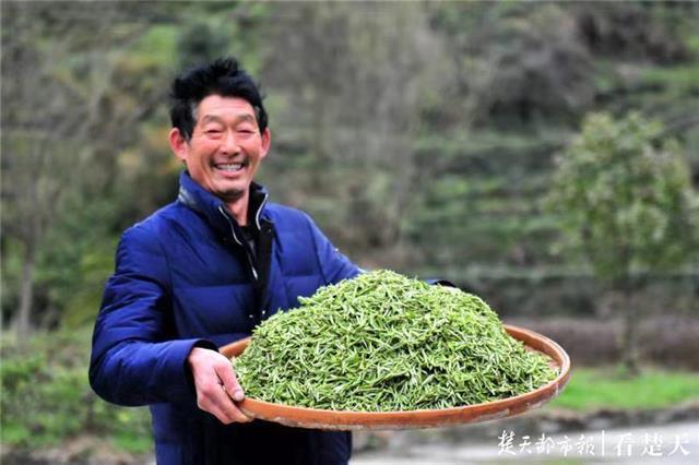 最新夷陵新聞，探索自然美景的旅程，尋覓內(nèi)心平和之地