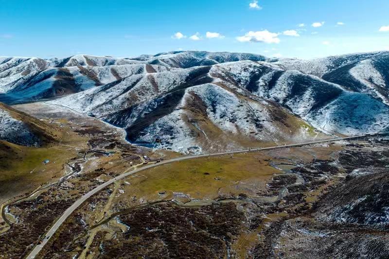 蘭西最新新聞，學(xué)習(xí)之光，自信與成就感的源泉