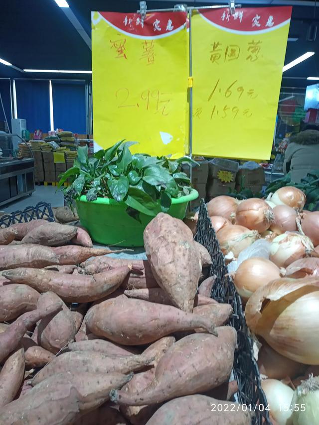 最新地瓜價格解析，查詢指南與任務攻略