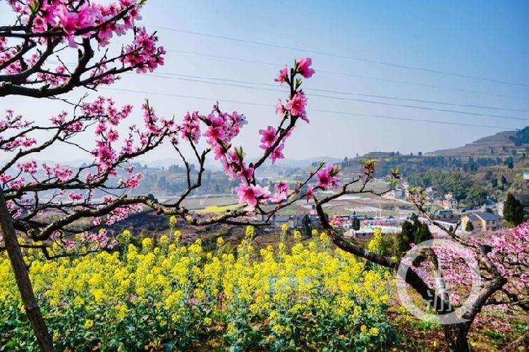 合川最新科技新聞，高科技產(chǎn)品引領(lǐng)未來生活潮流