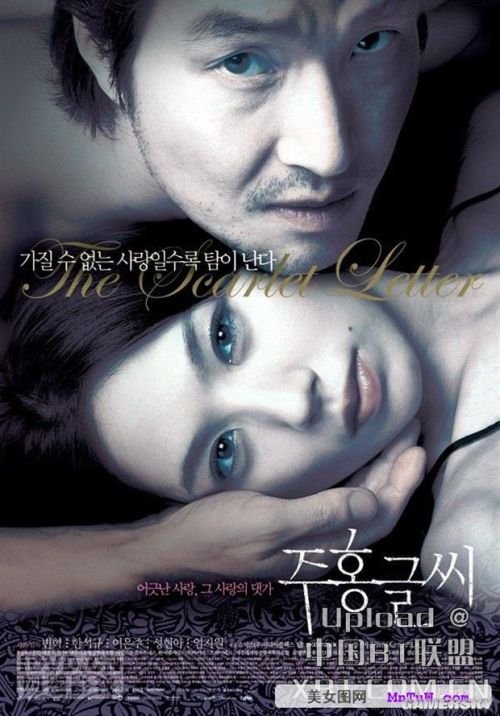 最新內(nèi)地倫理電影探索與啟示，揭示社會(huì)倫理的啟示與價(jià)值