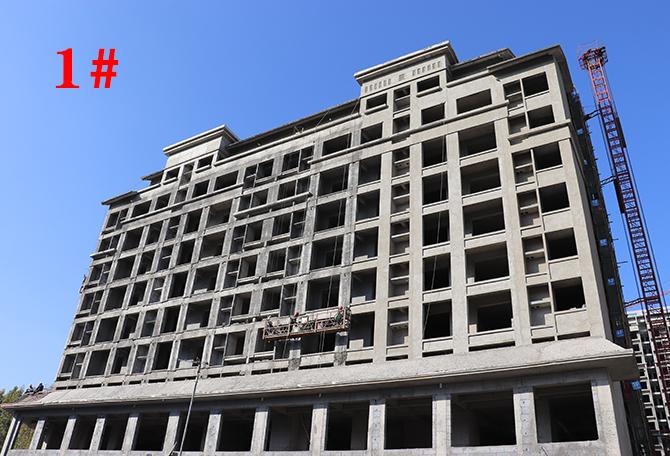 平輿最新樓盤市場(chǎng)現(xiàn)狀與前景展望，深度解析市場(chǎng)趨勢(shì)與發(fā)展前景展望