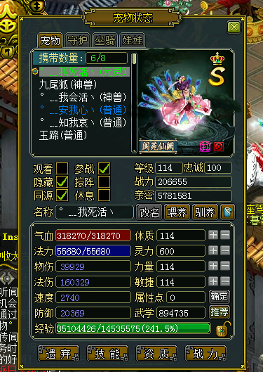 問道最新元靈，探尋內心平靜的旅程