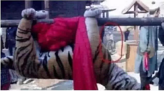 最新打虎消息，探尋內(nèi)心平靜的打虎之旅