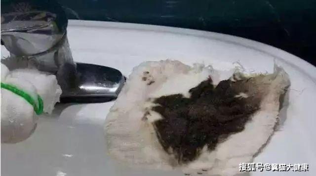 揭秘水污染真相，小杰的河流探索之旅——溫馨河流的秘密揭秘視頻