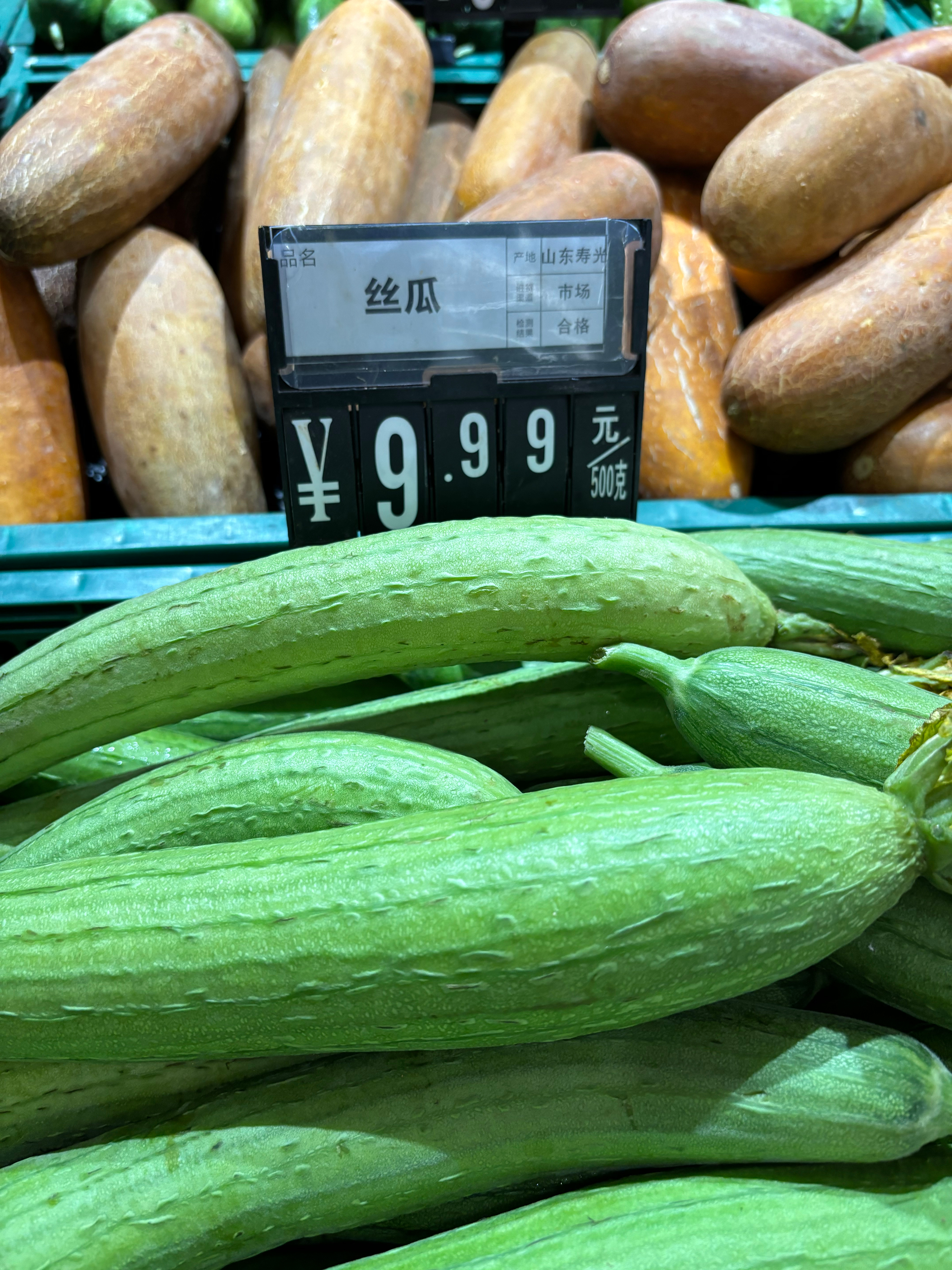 絲瓜價格最新行情??大揭秘！火爆價格走勢一網打盡??