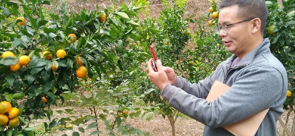 活力四溢的湘西門(mén)戶——沅陵最新紅網(wǎng)動(dòng)態(tài)