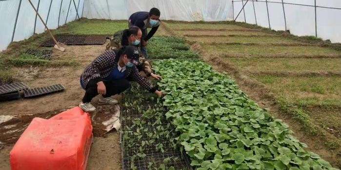 策勒最新招聘啟航人才新篇章，學習變化，擁抱自信與成就，啟程人生新征程！