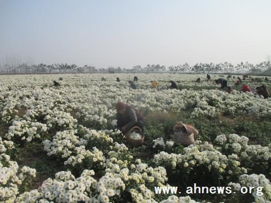 界首最新新聞，學習變革的力量，自信與成就感的融合之路