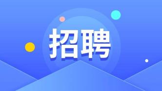 海淀最新招聘動(dòng)態(tài)解析及招聘信息概覽