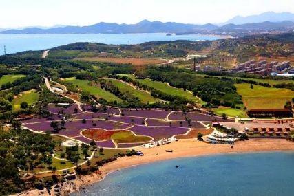 心悅海島探險攻略，最新任務指南與探險體驗