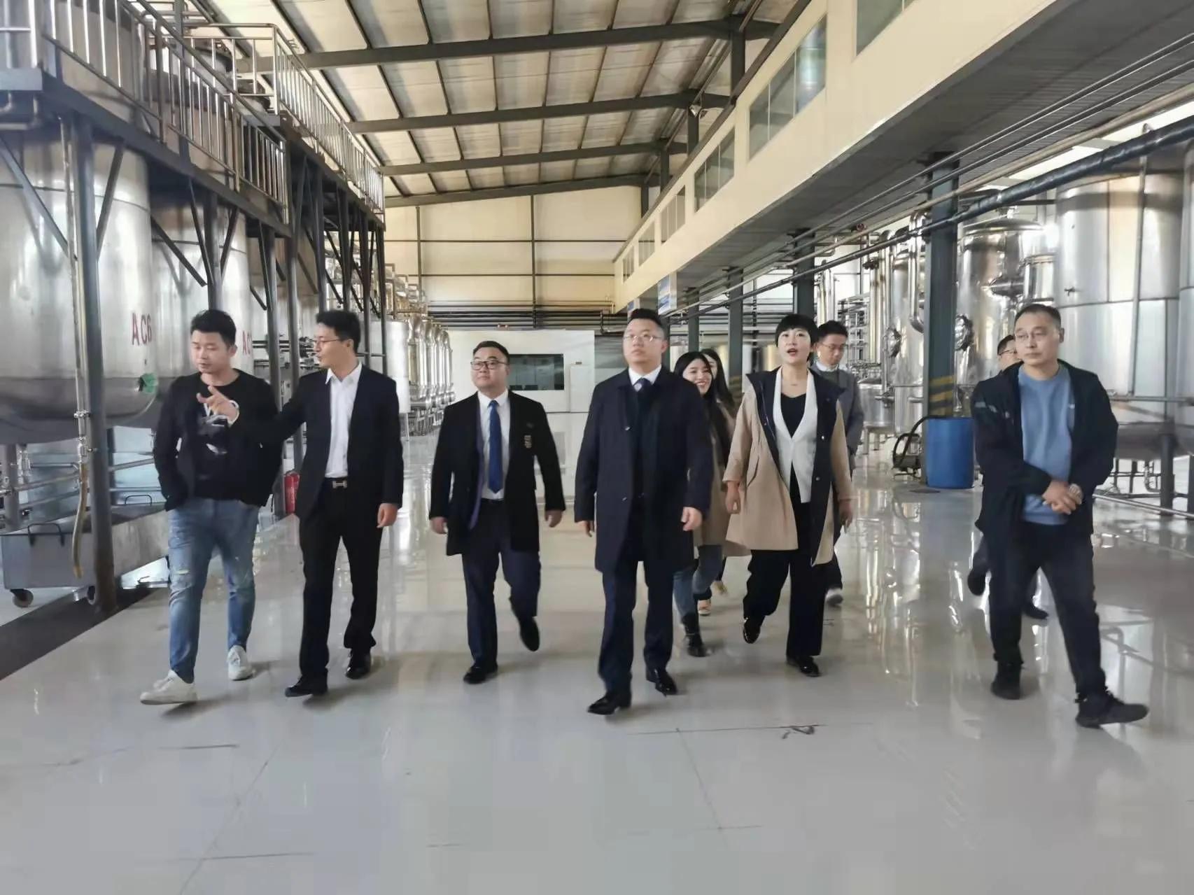 鼎恒升最新動態(tài)，追溯特定領(lǐng)域的發(fā)展歷程與重要地位