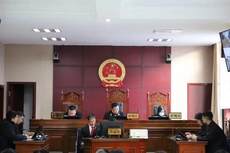 偏關(guān)最新案件深度解析，揭示真相，關(guān)注社會(huì)公正與公平