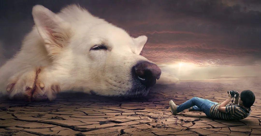 夢境最新研究揭秘，探索人類夢境的奧秘