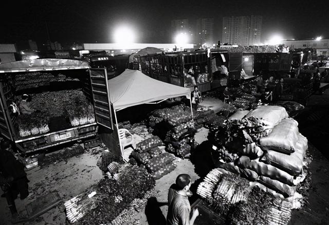 掌握新技能與完成任務(wù)，最新趨勢下的步驟指南