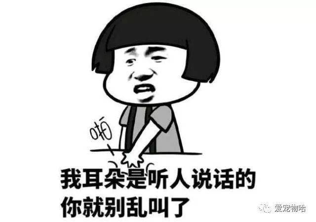 最新枕邊笑話，科技小寶貝，生活添樂趣