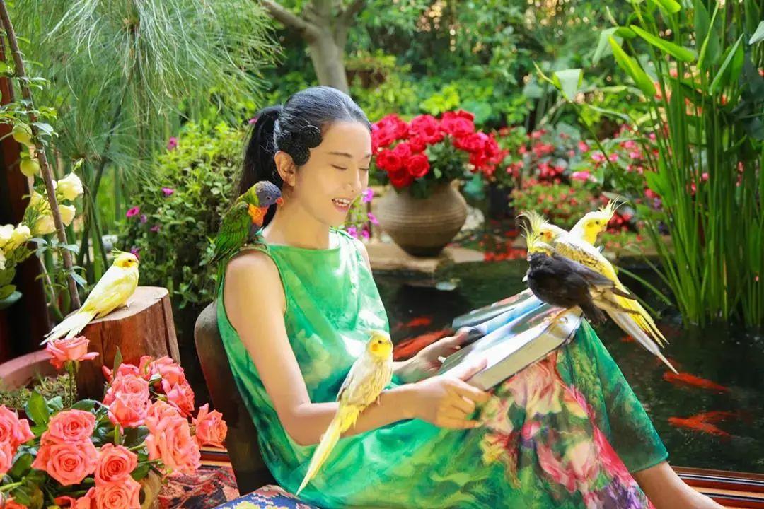 昆明最新舞蹈，文化現(xiàn)象的深度探討