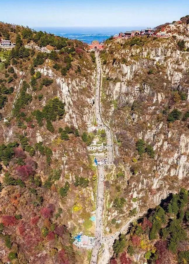 泰山最新聞，觀點與立場的深度探討