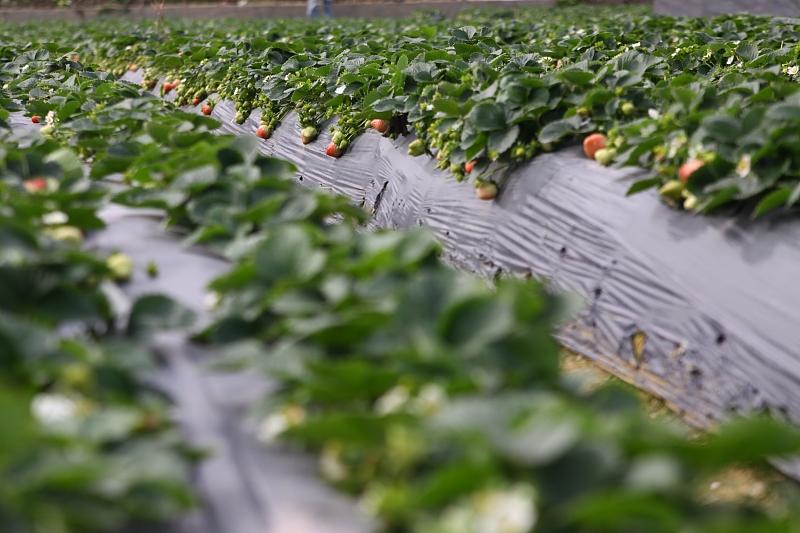 湖北最新封鎖，科技智能重塑防線，守護(hù)生活安全