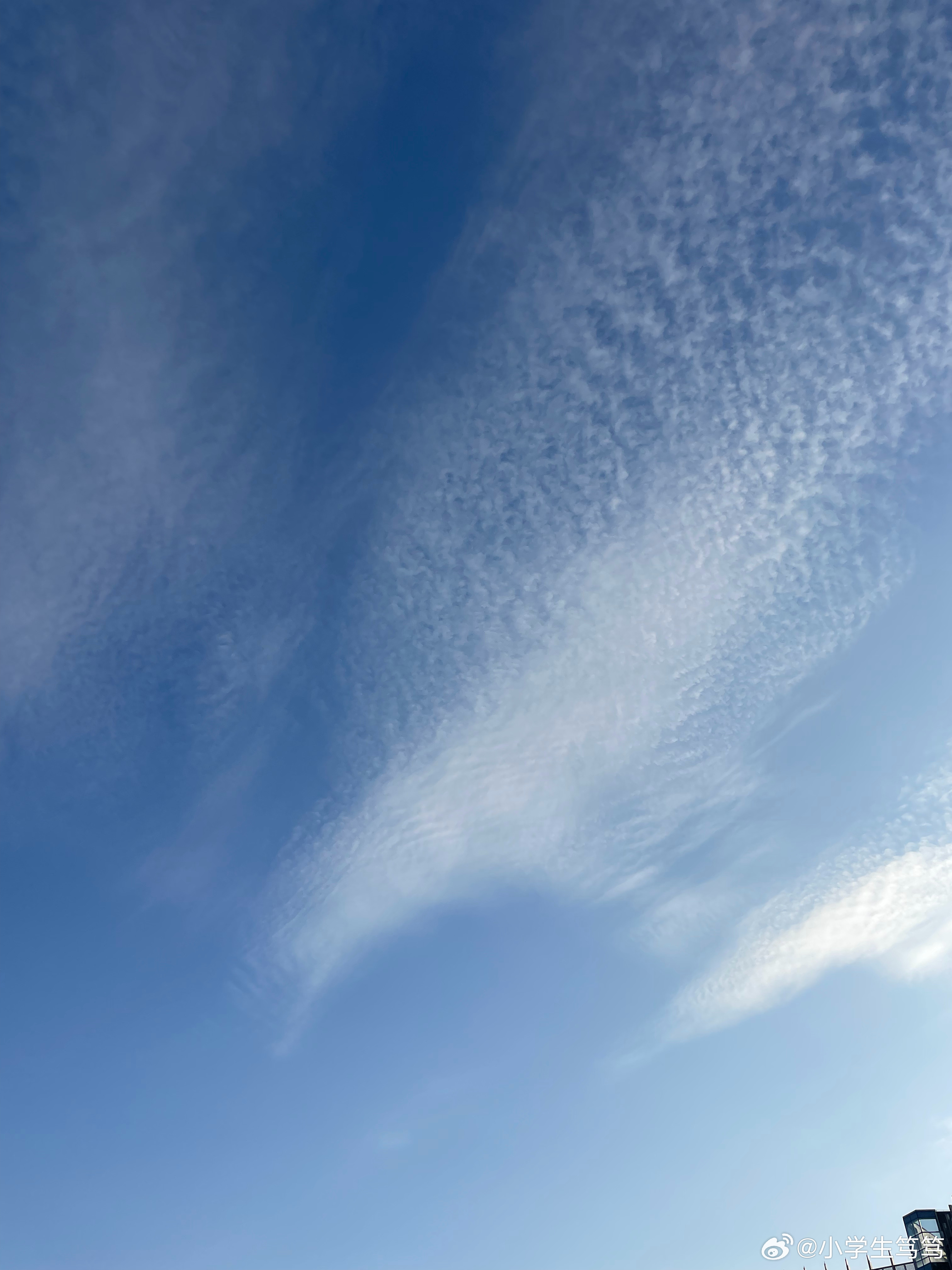 云飄飄最新，小巷深處的獨(dú)特風(fēng)味美食體驗(yàn)