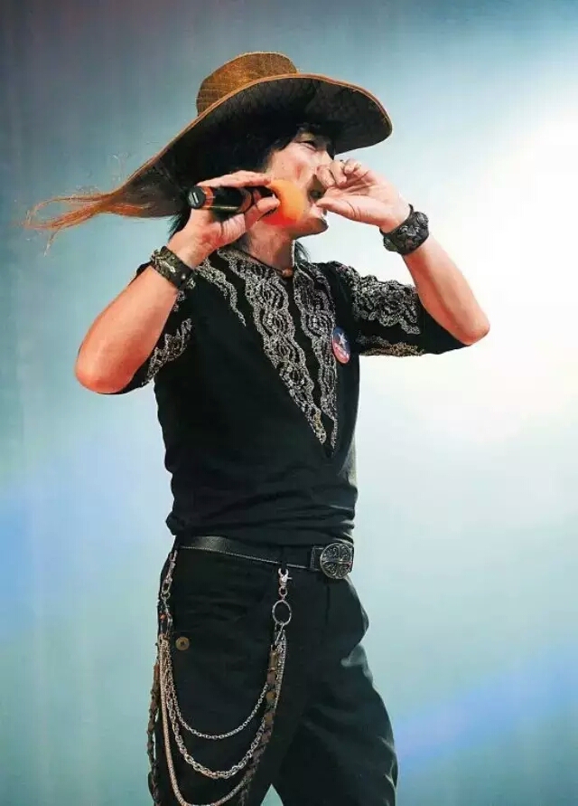 指哨最新，自然美景之旅，探尋內(nèi)心平靜與喜悅的旅程