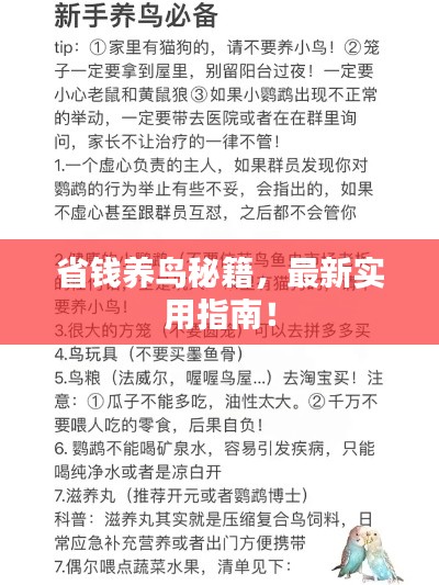 最新養(yǎng)鳥法規(guī)解析，觀點闡述與深度探討