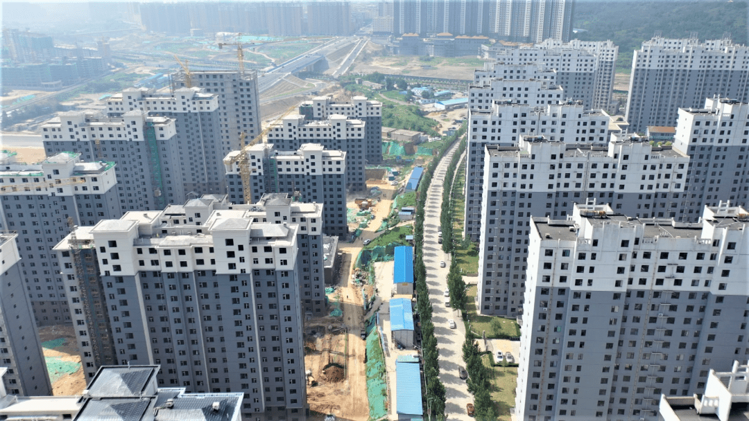 陽泉疫情最新動態(tài)及應對指南，初學者與進階用戶必備知識