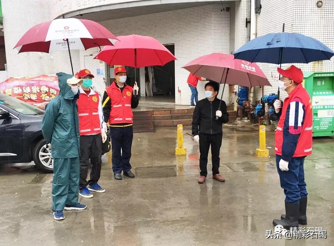 石碣最新疫情動態(tài)，變化中的學(xué)習(xí)，鑄就未來力量