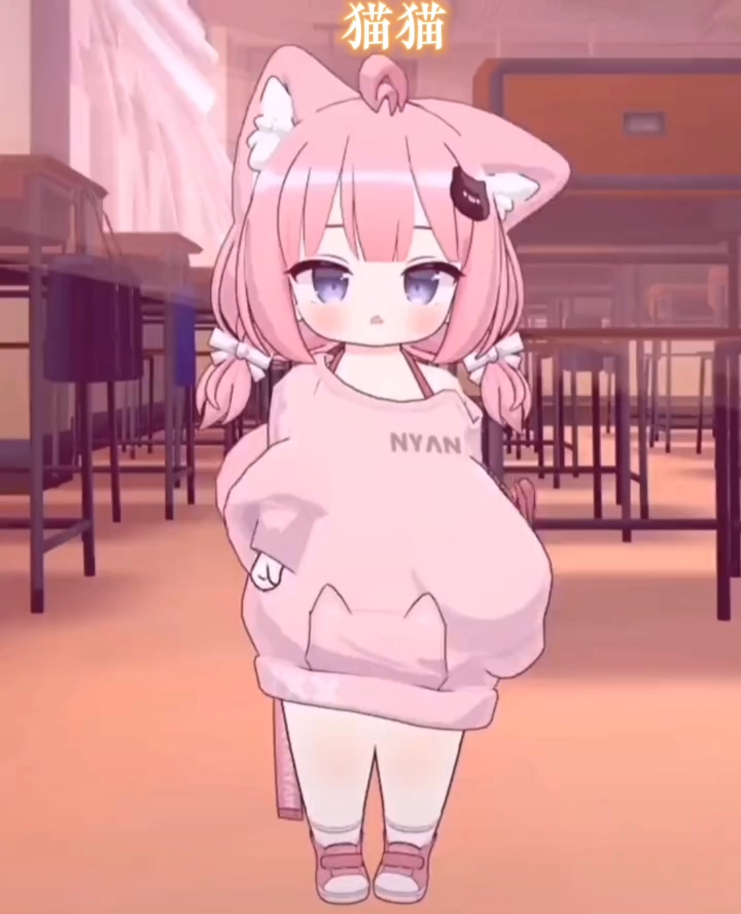 貓妹妹最新動態(tài)，萌態(tài)盡顯，溫暖你的心??