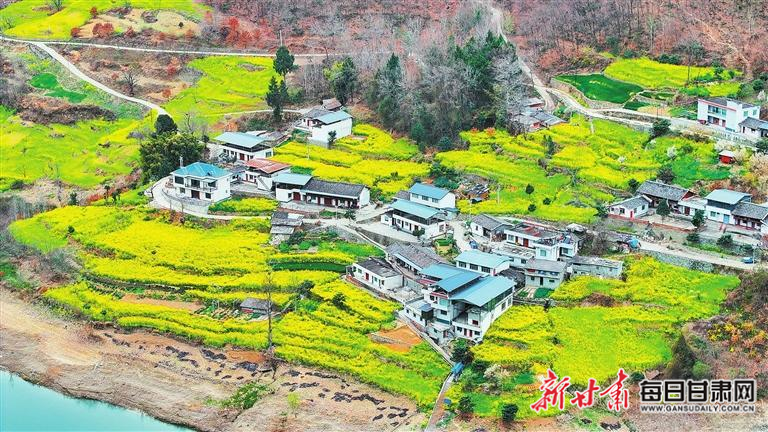 揭秘文縣，歷史背景、重大事件與時(shí)代地位全景展示