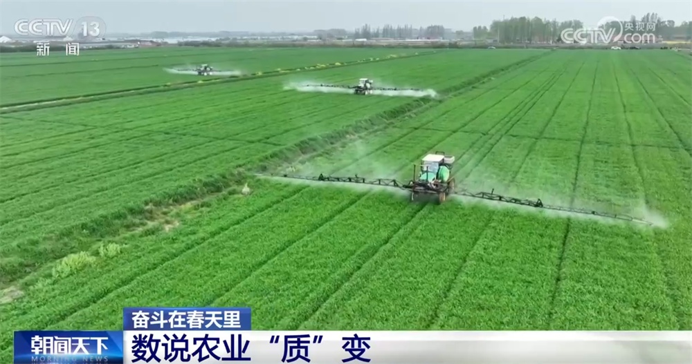 最新農(nóng)業(yè)農(nóng)村發(fā)展，播種希望，收獲自信與成就感