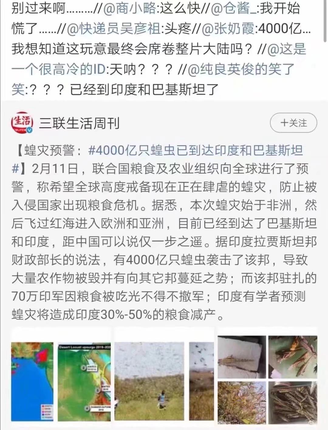 蝗蟲(chóng)最新動(dòng)態(tài)，防治與監(jiān)測(cè)的全面指南