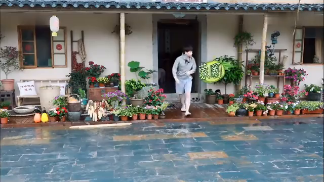 最新蘑菇屋，自然與生活完美融合的夢幻之地