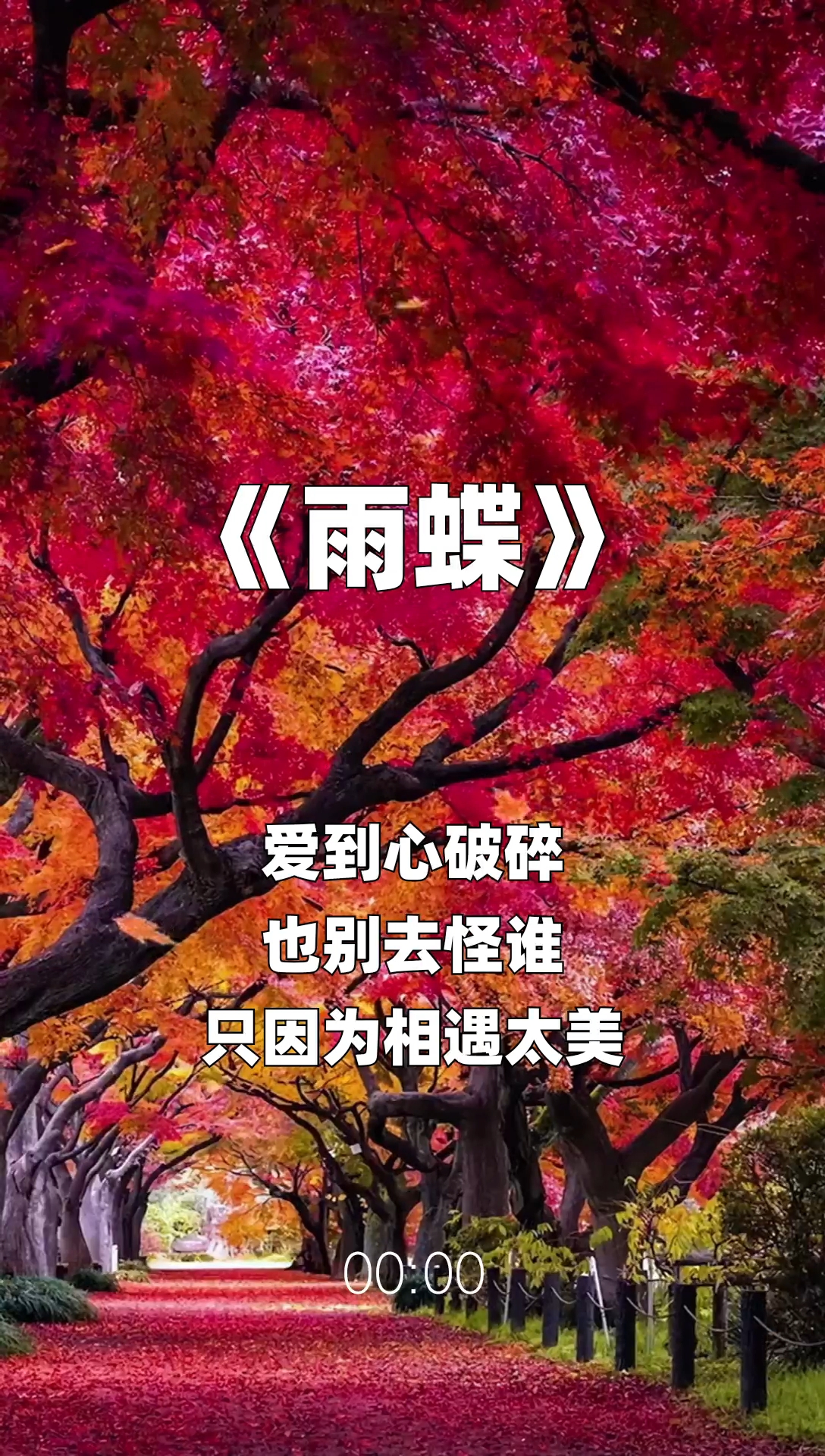 雨蝶最新步驟指南，如何完成任務(wù)或?qū)W習(xí)技能？