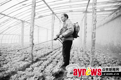 最新農(nóng)藥抽檢結(jié)果出爐，守護農(nóng)田安全，你我他的共同責(zé)任