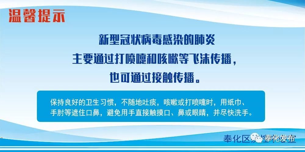 余姚最新確診背后的自然探索之旅，重拾心靈寧靜與平和