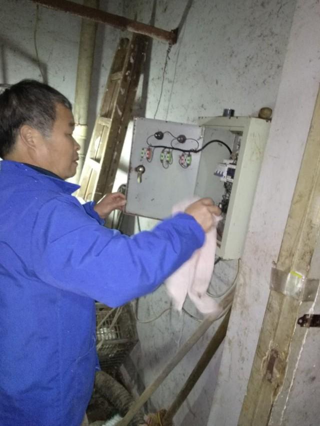 化糞池最新事件，心靈與自然的奇妙之旅