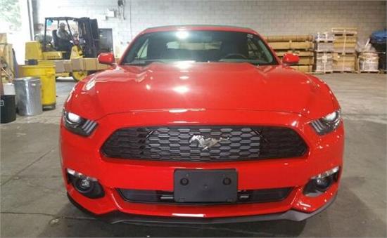 威路德最新款，小巷中的驚喜發(fā)現(xiàn)