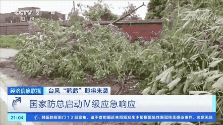 超強臺風(fēng)鸚鵡來襲，最新路徑動態(tài)全解析???