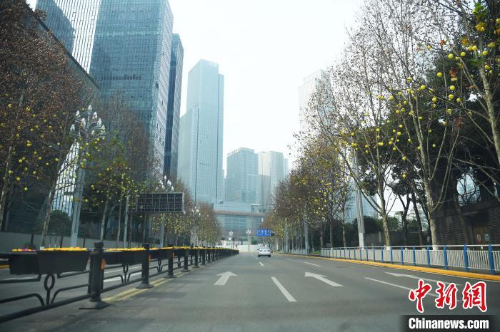 空城最新動(dòng)態(tài)解析，觀點(diǎn)與立場(chǎng)深度解讀