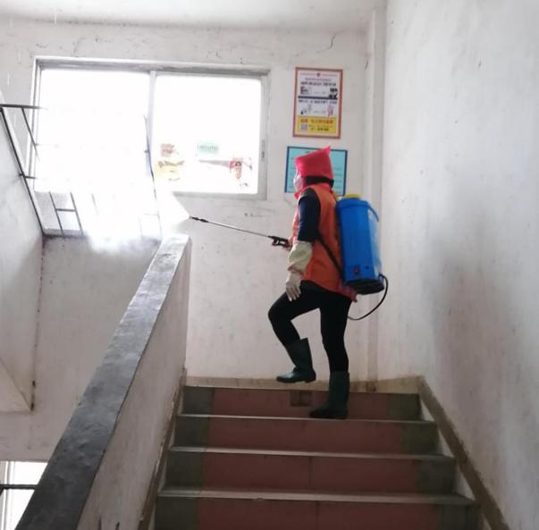 蓬江區(qū)最新高科技住宅，重塑未來(lái)生活體驗(yàn)的首選之地