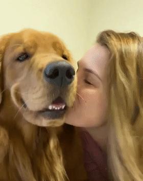 時(shí)代潮流還是陷阱？深度解讀最新趨勢背后的真相